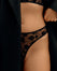 Flocked Tulle Cheeky Brief